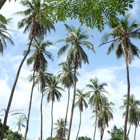 Penzion Centre Touristique Et Culturel Casamance Diakene Ouolof Exteriér fotografie