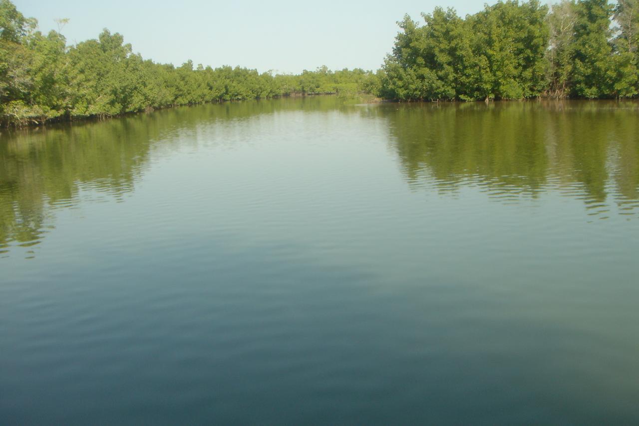 Penzion Centre Touristique Et Culturel Casamance Diakene Ouolof Exteriér fotografie