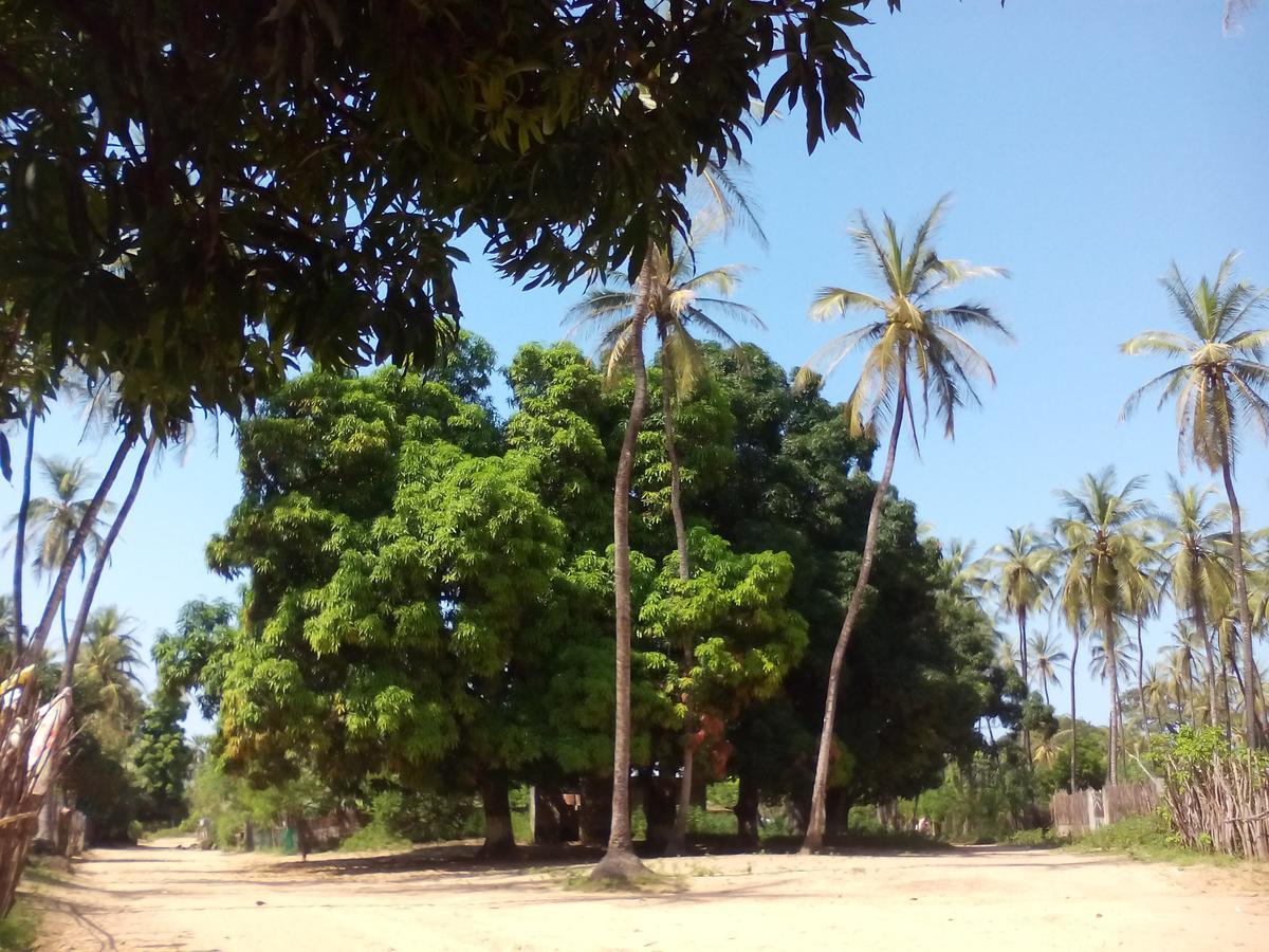 Penzion Centre Touristique Et Culturel Casamance Diakene Ouolof Exteriér fotografie