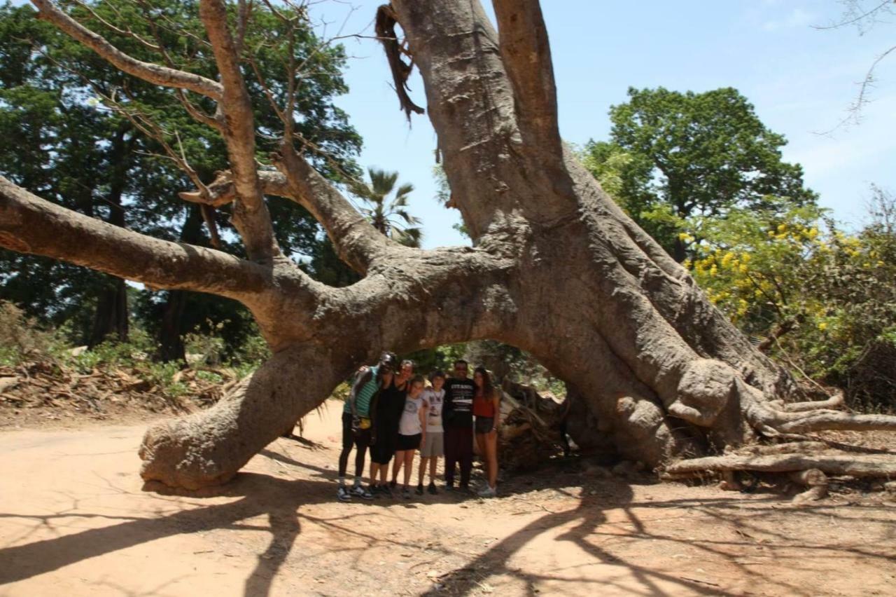 Penzion Centre Touristique Et Culturel Casamance Diakene Ouolof Exteriér fotografie