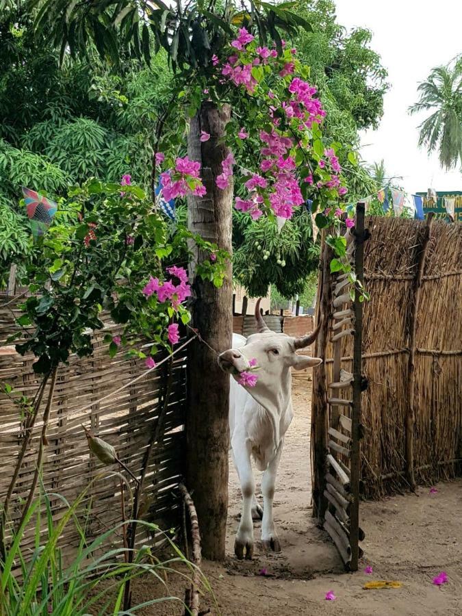 Penzion Centre Touristique Et Culturel Casamance Diakene Ouolof Exteriér fotografie