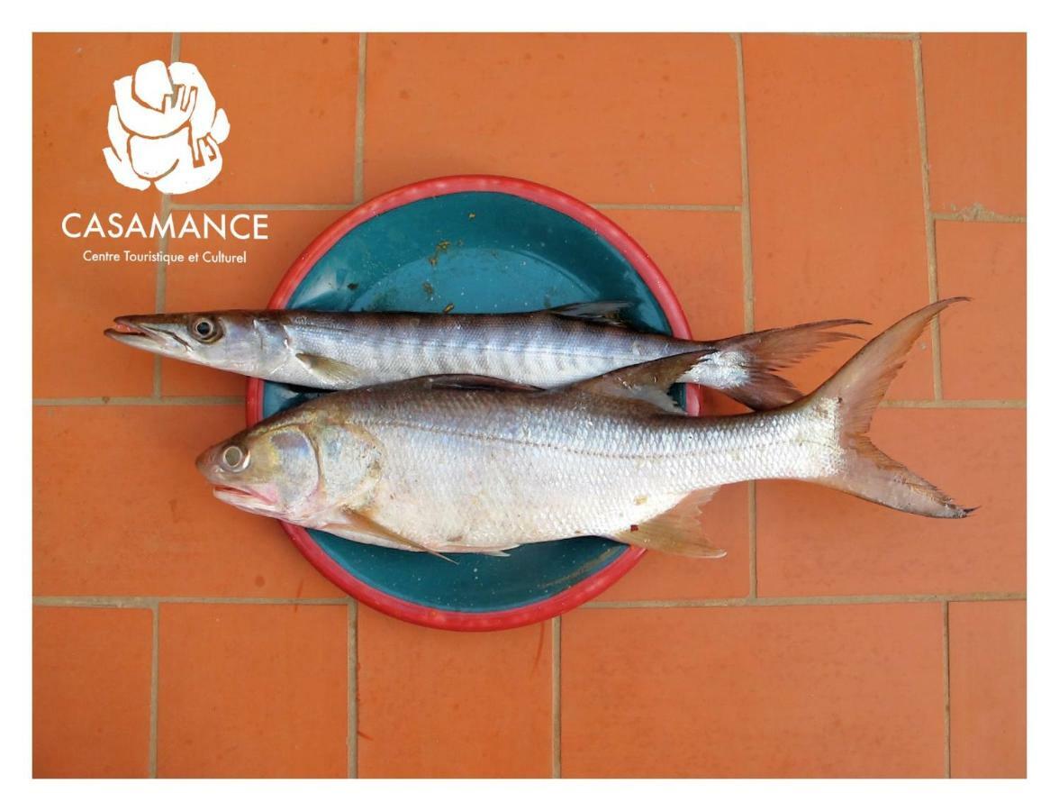 Penzion Centre Touristique Et Culturel Casamance Diakene Ouolof Exteriér fotografie